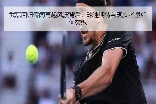 武磊回归传闻再起风波背后，球迷期待与现实考量如何交织